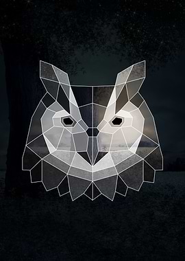 Geometric Owl