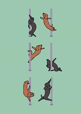 Dachshund Pole Dancing