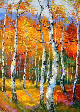 Birches in the sun