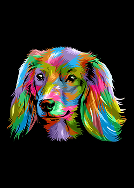 Rainbow color Dachshund