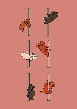 Poodle Pole Dancing Club