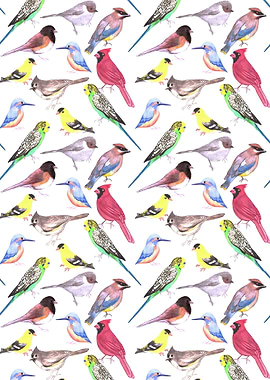 Various birds watercolor