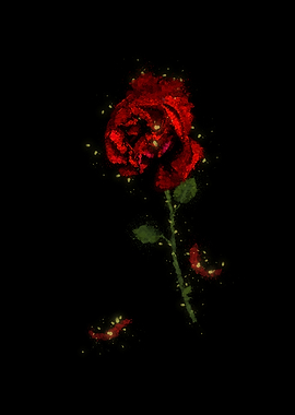 The Enchanted Rose