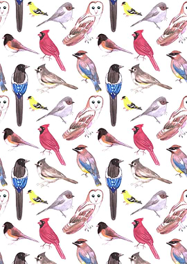 Wild birds watercolor