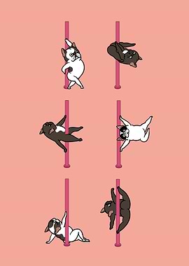 Frenchie Pole Dancing Club