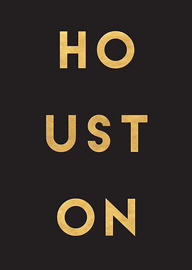 Houston Texas City Art