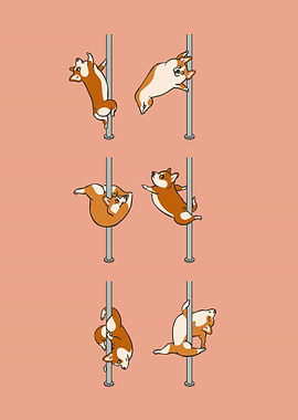 Corgi Pole Dancing Club