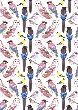 Wild birds watercolor