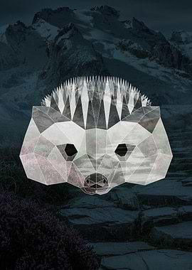 Geometric Hedgehog