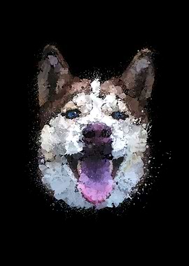 Husky Portrait