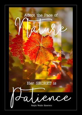 Adopt the Pace of Nature