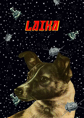 Laika