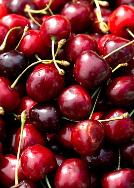 Cherries