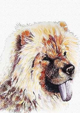 CHOW CHOW DOG PORTRAIT