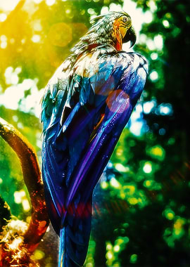 Blue and Yellow Macaw