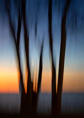 Blurred motion trees