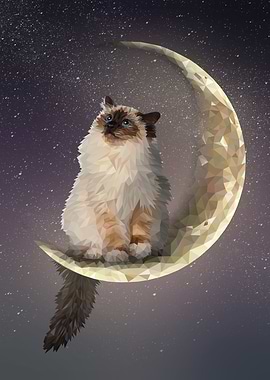 Moon Cat