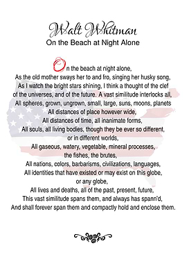 Walt Whitman On The Beach