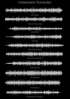 Joy Division Soundwave Art