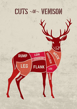 Cuts of Venison Chart