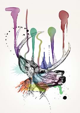 deer water colors