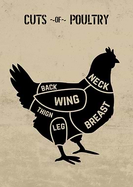 Cuts of Poultry Chart BW