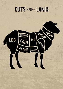 Cuts of Lamb Chart Light