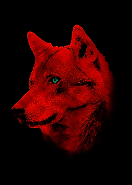 red wolf