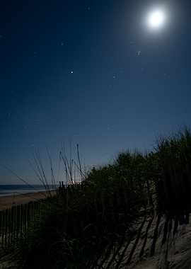 Moon Beach
