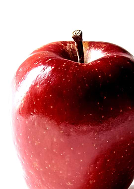 Big Apple Amsterdam 05