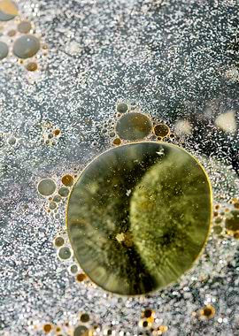 Oil bubbles on water macro