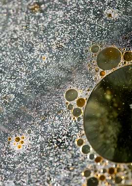 Oil bubbles on water macro