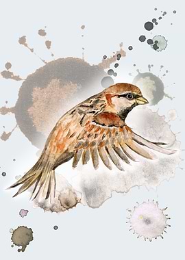 Flying sparrow