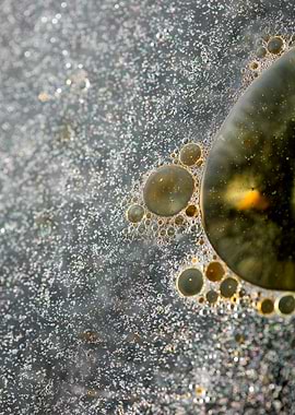 Oil bubbles on water macro