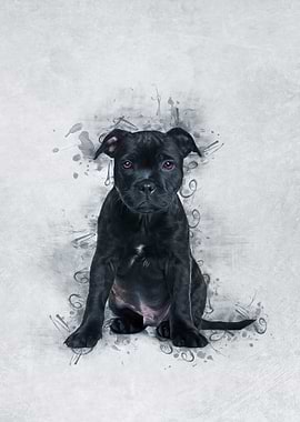 Staffordshire Bull Terrier