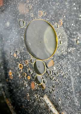 Oil bubbles on water macro