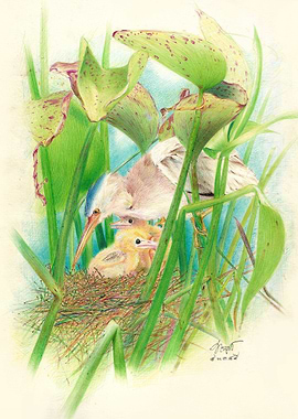 A small family in a large