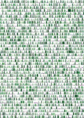 Constant E visualization