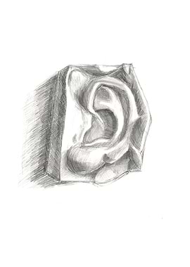 Ear sculpture drawing