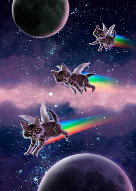 Space Cats