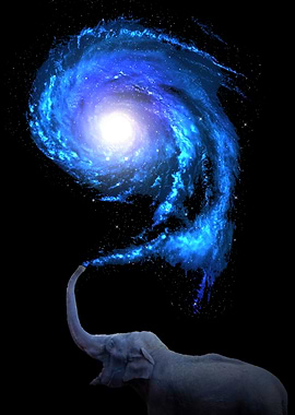 Elephant Galaxy
