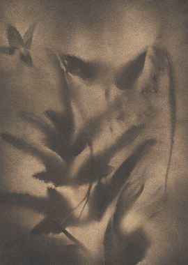 Abstract leaves print