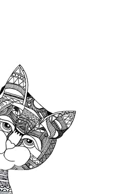 little cat