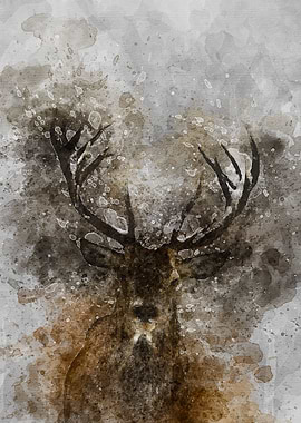 Deer