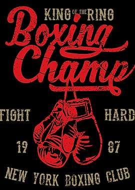 Boxing Champ
