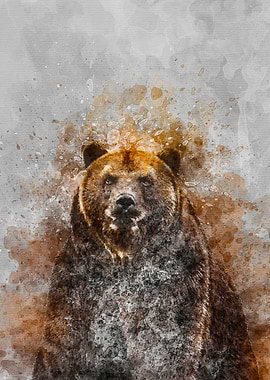 Bear