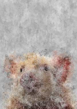 Pig