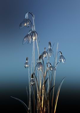 Glass snowdrops