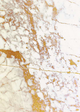 MARBLED WHITE GOLD1