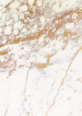 MARBLED WHITE GOLD2